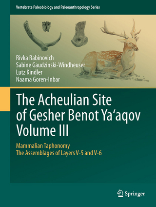 The Acheulian Site of Gesher Benot  Ya'aqov  Volume III - Rivka Rabinovich; Sabine Gaudzinski-Windheuser; Lutz Kindler; Naama Goren-Inbar