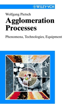 Agglomeration Processes - Wolfgang Pietsch
