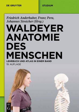 Waldeyer - Anatomie des Menschen - Anton Waldeyer; Friedrich Anderhuber; Franz Pera; Johannes Streicher