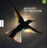 Wildlife Fotografien des Jahres – Portfolio 31