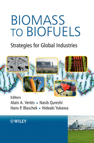 Biomass to Biofuels - Alain A. Vertes; Nasib Qureshi; Hideaki Yukawa; Hans P. Blaschek