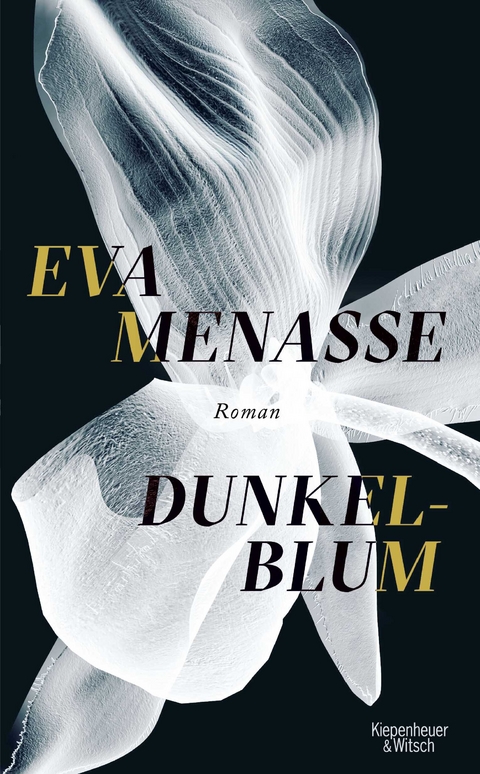 Dunkelblum - Eva Menasse