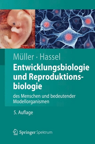 Entwicklungsbiologie und Reproduktionsbiologie des Menschen und bedeutender Modellorganismen - Werner Müller; Monika Hassel