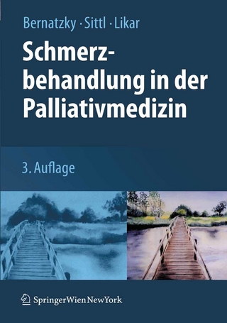 Schmerzbehandlung in der Palliativmedizin - Günther Bernatzky; Günther Bernatzky; Reinhard Sittl; Reinhard Sittl; Rudolf Likar; Rudolf Likar