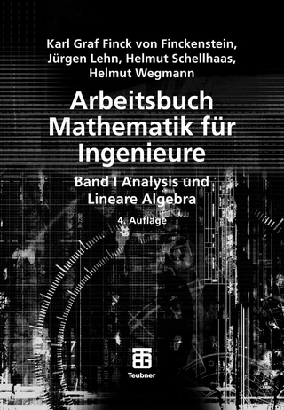 Arbeitsbuch Mathematik für Ingenieure, Band I - Karl Finckenstein; Jürgen Lehn; Helmut Schellhaas; Helmut Wegmann