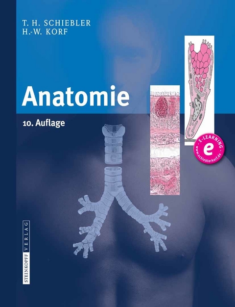 Anatomie -  Theodor H. Schiebler,  Horst-W. Korf