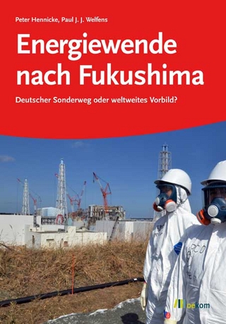 Energiewende nach Fukushima - Peter Hennicke; Paul Welfens