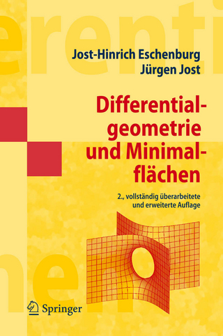 Differentialgeometrie und Minimalflächen - J.-H. Eschenburg; Jürgen Jost