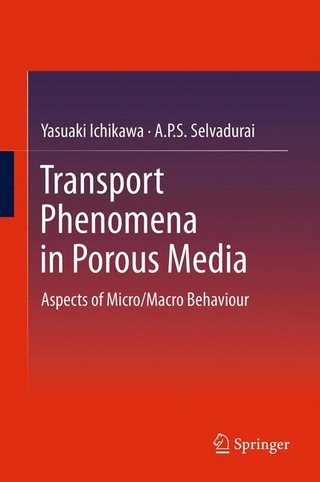 Transport Phenomena in Porous Media - Yasuaki Ichikawa; A.P.S. Selvadurai