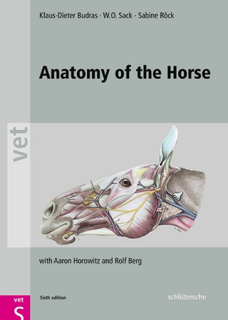 Anatomy of the Horse - Klaus-Dieter Budras; W. O. Sack; Sabine Röck