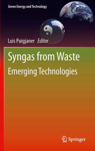 Syngas from Waste - Luis Puigjaner