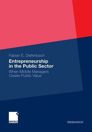 Entrepreneurship in the Public Sector - Fabian Elias Diefenbach