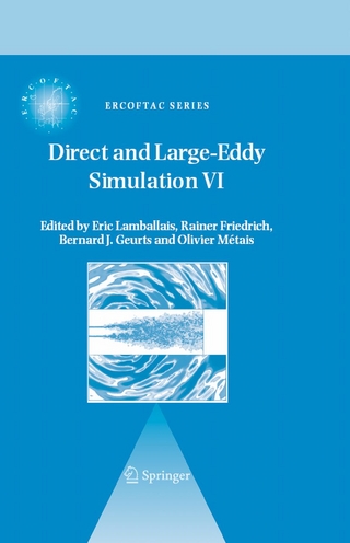 Direct and Large-Eddy Simulation VI - Eric Lamballais; E. Lamballais; Rainer Friedrich; Rainer Friedrich; Bernard J. Geurts; Bernard J. Geurts; Olivier Métais; Olivier Métais