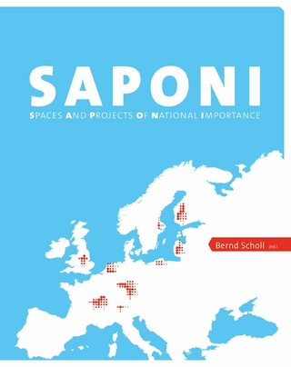 SAPONI - Spaces and Projects of National Importance - Bernd Scholl