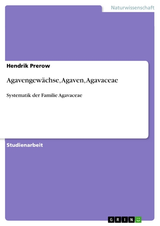 Agavengewächse, Agaven, Agavaceae - Hendrik Prerow
