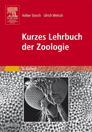 Kurzes Lehrbuch der Zoologie - Volker Storch; Ulrich Welsch