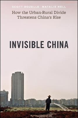 The Invisible China - Scott Rozelle; Natalie Hell