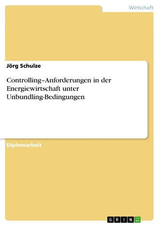 Controlling-Anforderungen in der Energiewirtschaft unter Unbundling-Bedingungen - Jörg Schulze