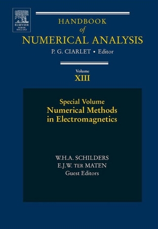 Numerical Methods in Electromagnetics - E.J.W. TER MATEN; W.H.A. SCHILDERS
