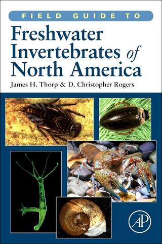 Field Guide to Freshwater Invertebrates of North America - James H. Thorp; D. Christopher Rogers