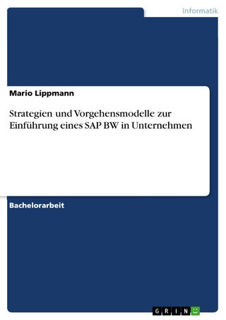 Strategien und Vorgehensmodelle zur Einführung eines SAP BW in Unternehmen - Mario Lippmann