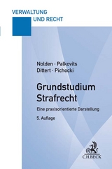 Grundstudium Strafrecht - Nolden, Waltraud; Palkovits, Frank; Dittert, Susanne; Pichocki, Frank