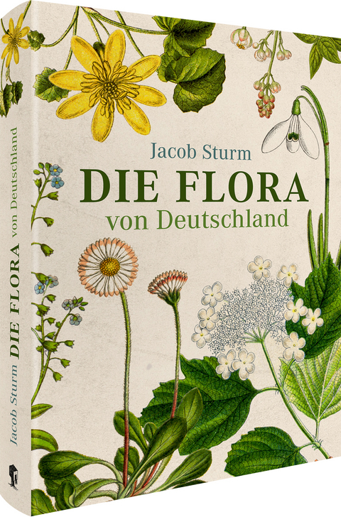 Jacob Sturm – Die Flora von Deutschland - Jacob Sturm