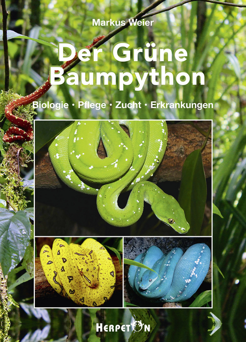 Der Grüne Baumpython - Markus Weier
