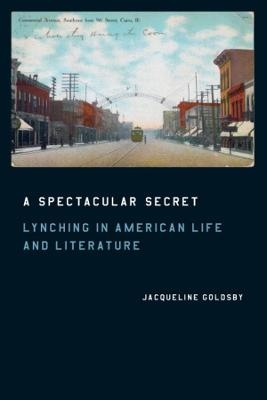A Spectacular Secret - Jacqueline Goldsby