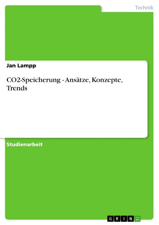 CO2-Speicherung - Ansätze, Konzepte, Trends - Jan Lampp