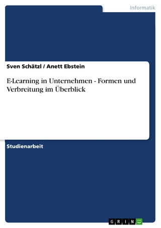 E-Learning in Unternehmen - Formen und Verbreitung im Überblick - Sven Schätzl; Anett Ebstein