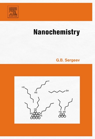 Nanochemistry - G.B. Sergeev