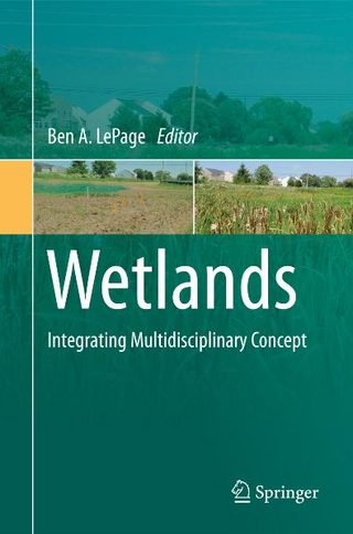 Wetlands - Ben A. LePage
