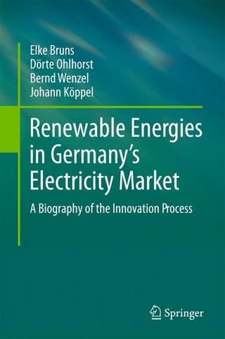 Renewable Energies in Germany?s Electricity Market - Elke Bruns; Dörte Ohlhorst; Bernd Wenzel; Johann Köppel