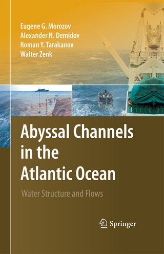 Abyssal Channels in the Atlantic Ocean - Eugene G. Morozov; Alexander N. Demidov; Roman Y. Tarakanov; Walter Zenk