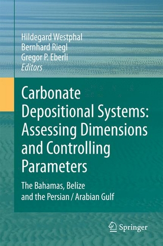 Carbonate Depositional Systems: Assessing Dimensions and Controlling Parameters - Gregor P. Eberli; Bernhard Riegl; Hildegard Westphal