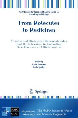 From Molecules to Medicines - Joel L. Sussman; Paola Spadon