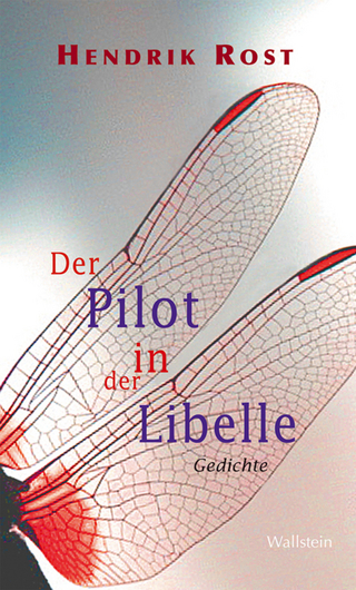 Der Pilot in der Libelle - Hendrik Rost