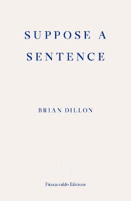Suppose a Sentence - Brian Dillon