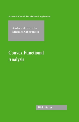 Convex Functional Analysis - Andrew J. Kurdila; Michael Zabarankin