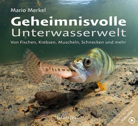 Geheimnisvolle Unterwasserwelt - Mario Merkel