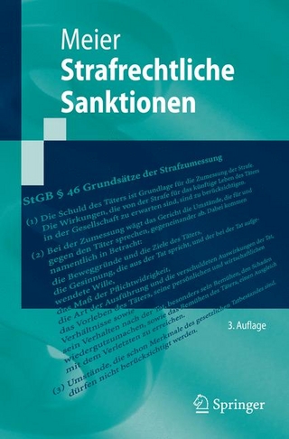 Strafrechtliche Sanktionen - Bernd-Dieter Meier