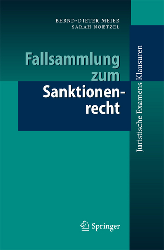 Fallsammlung zum Sanktionenrecht - Bernd-Dieter Meier; Sarah Noetzel