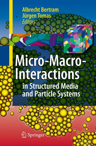 Micro-Macro-Interactions - Albrecht Bertram; Jürgen Tomas