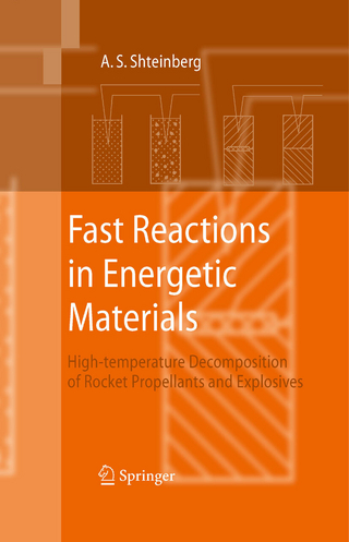 Fast Reactions in Energetic Materials - Alexander S. Shteinberg