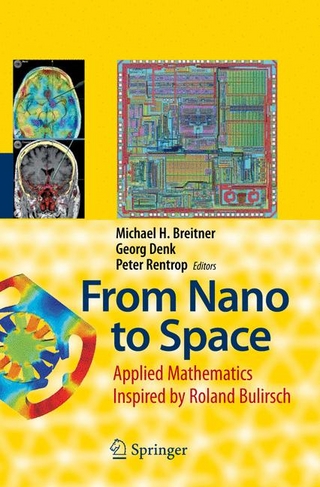 From Nano to Space - Michael Breitner; Michael H. Breitner; Georg Denk; Georg Denk; Peter Rentrop; Peter Rentrop