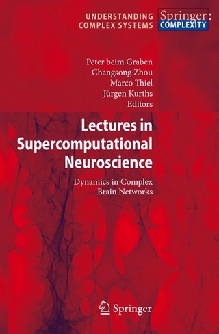Lectures in Supercomputational Neuroscience - Peter Graben; Jurgen Kurths; Marco Thiel; Changsong Zhou