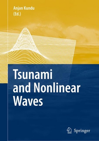 Tsunami and Nonlinear Waves - Anjan Kundu; Anjan Kundu