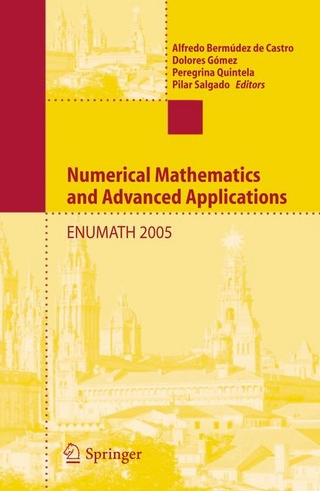 Numerical Mathematics and Advanced Applications - Alfredo Bermúdez de Castro; Dolores Gómez; Peregrina Quintela; Pilar Salgado