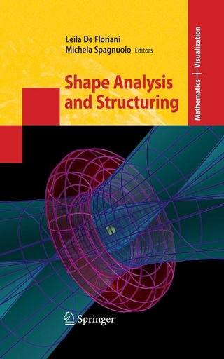 Shape Analysis and Structuring - Leila Floriani; Leila de Floriani; Michela Spagnuolo; Michela Spagnuolo